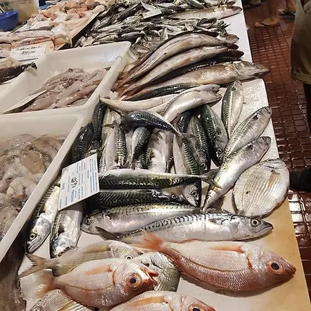 Casa Do Sapateiro - No Centro Historico De 펜션 *