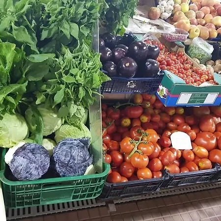 Casa Do Sapateiro - No Centro Historico De 펜션 *