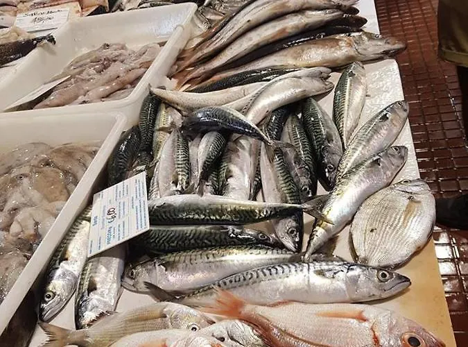 Casa Do Sapateiro - No Centro Histórico De Сasa de vacaciones *